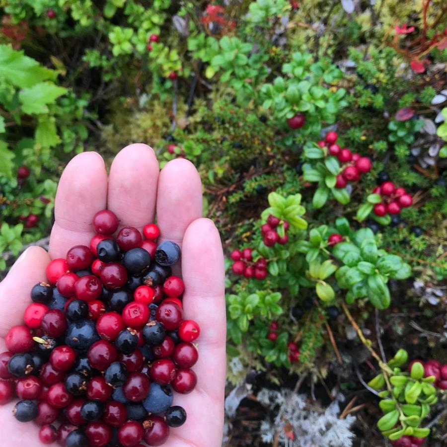 Hotelli Kainuu Kuhmo Kültér fotó