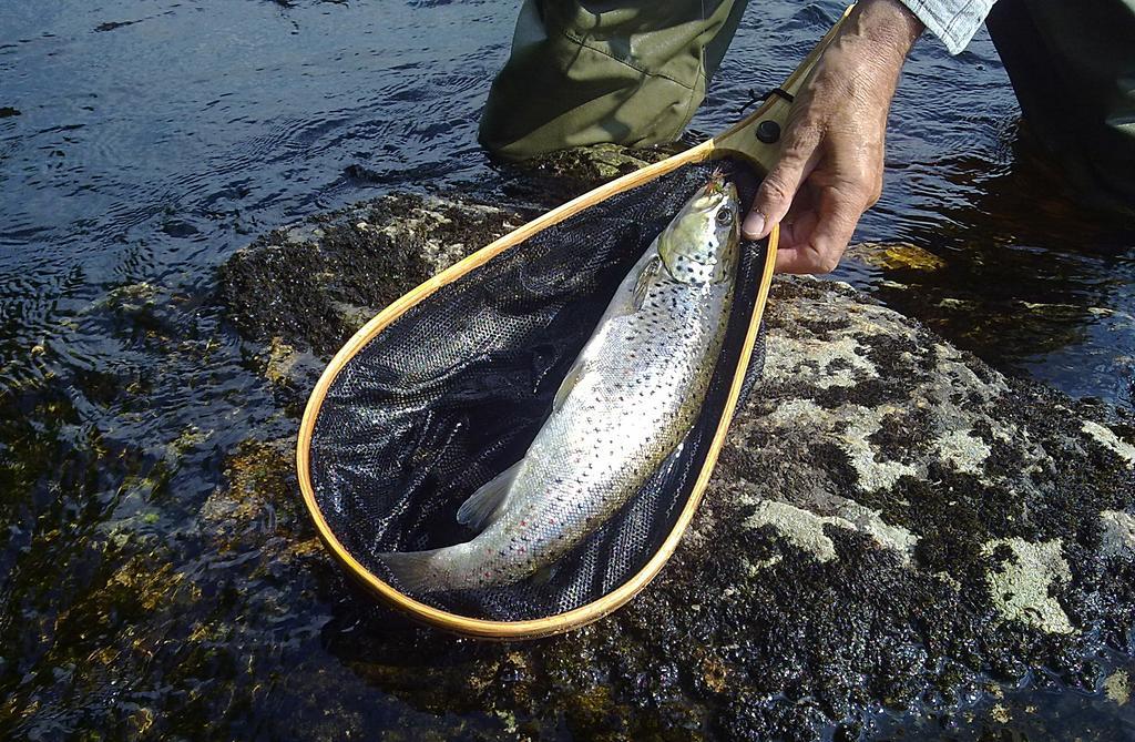 Hotelli Kainuu Kuhmo Kültér fotó