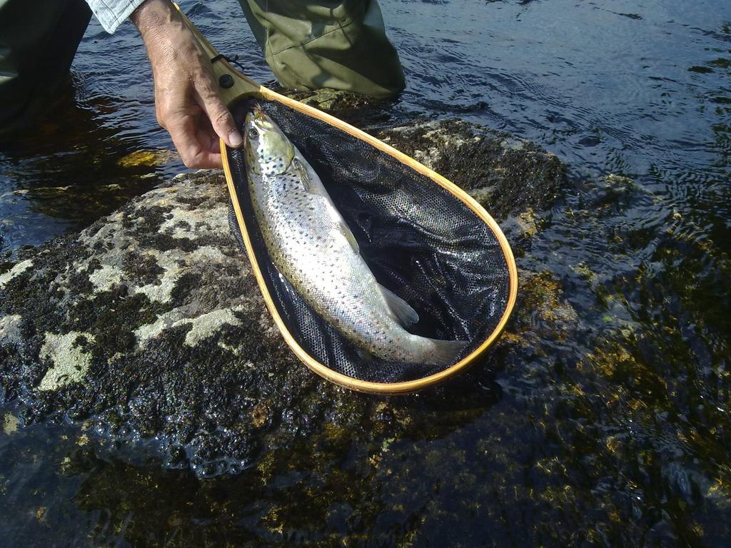 Hotelli Kainuu Kuhmo Kültér fotó
